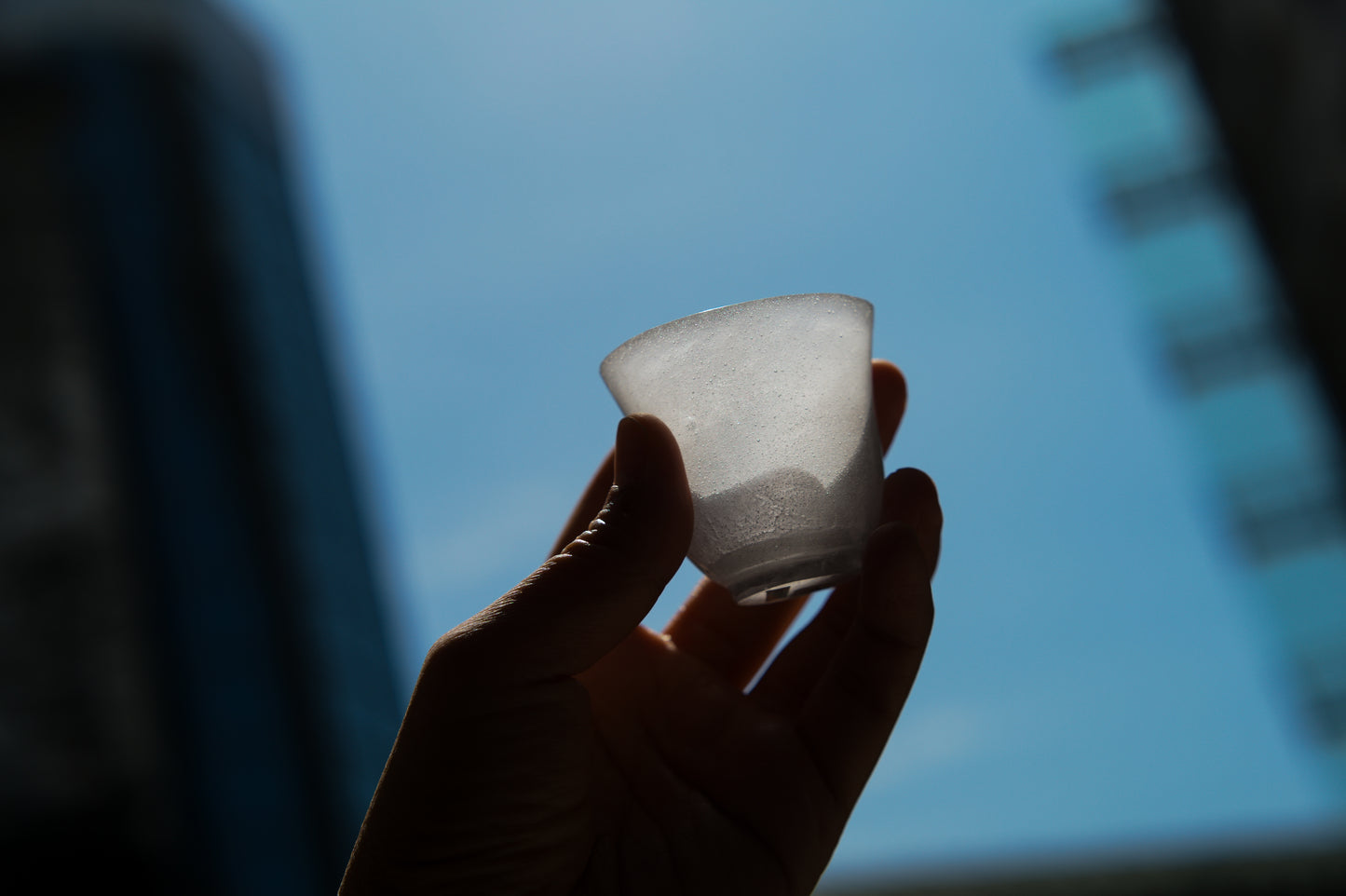 Zen Yukiyo _N.32 茶杯