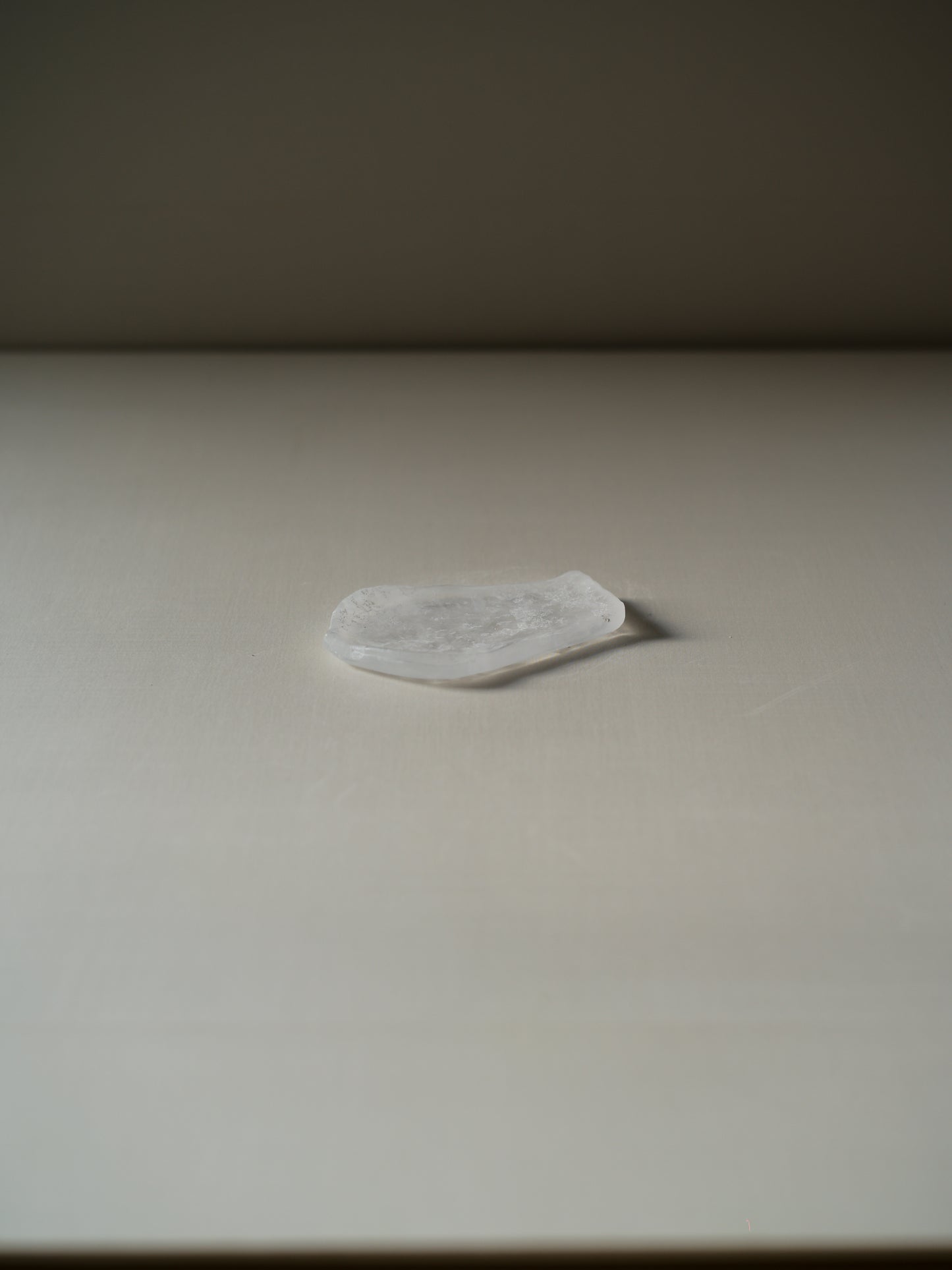 能登朝奈 蓮瓣盤