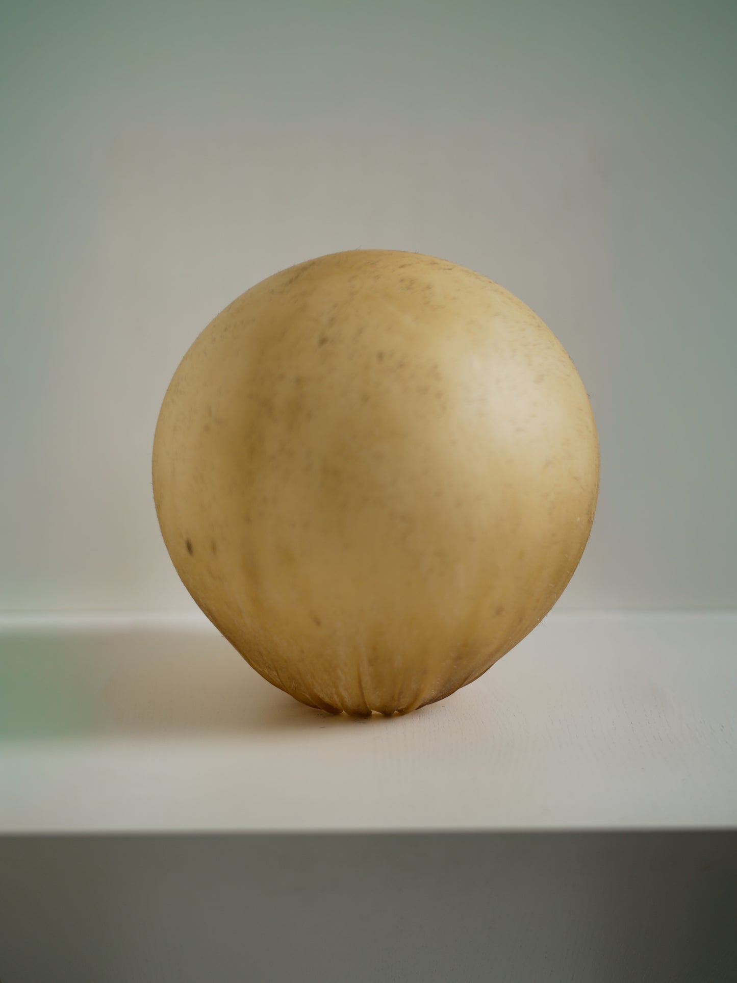 石黒幹朗 Ishiguro Mikio_Untitled 09