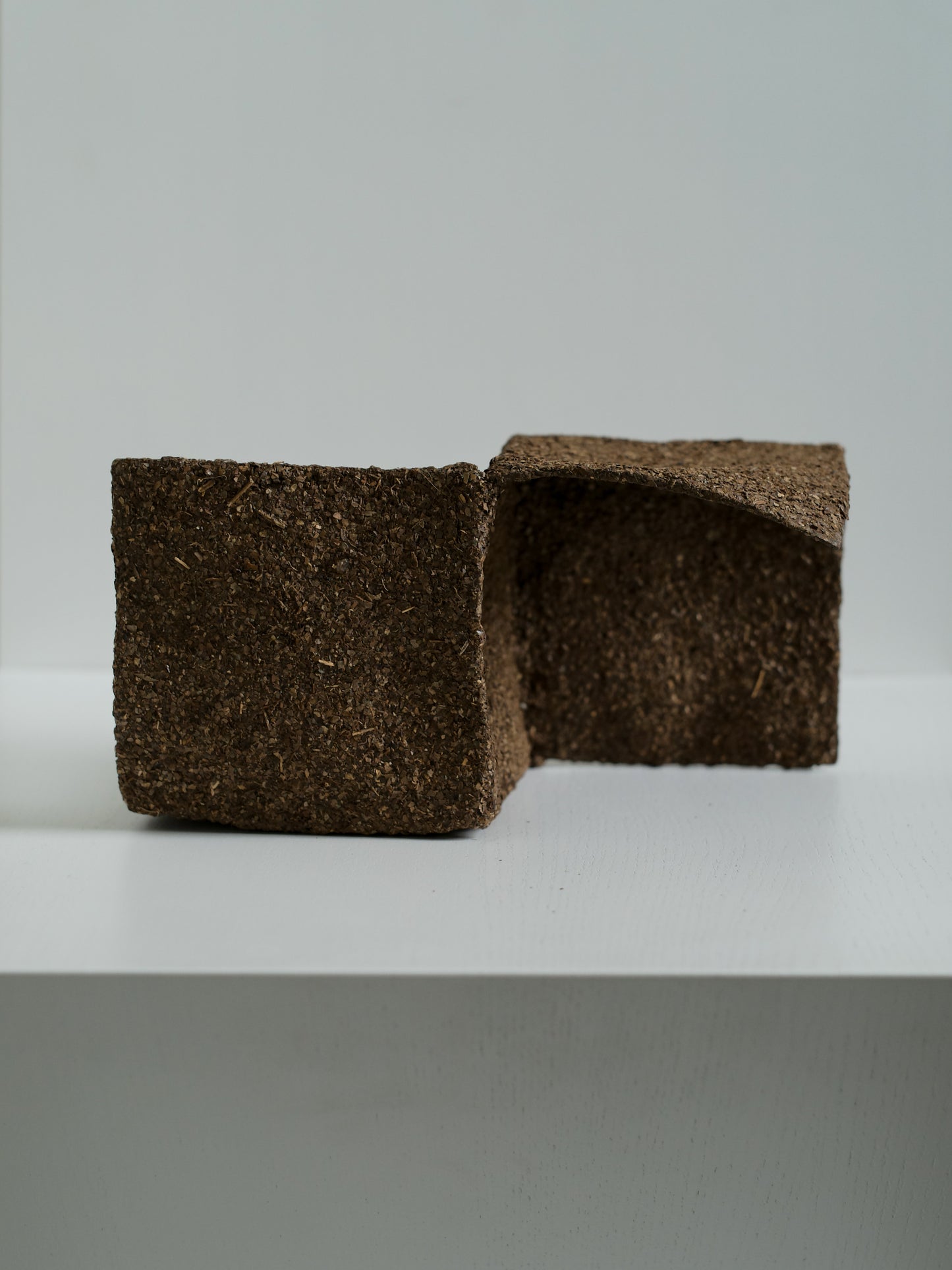 石黒幹朗 Ishiguro Mikio_Untitled 03