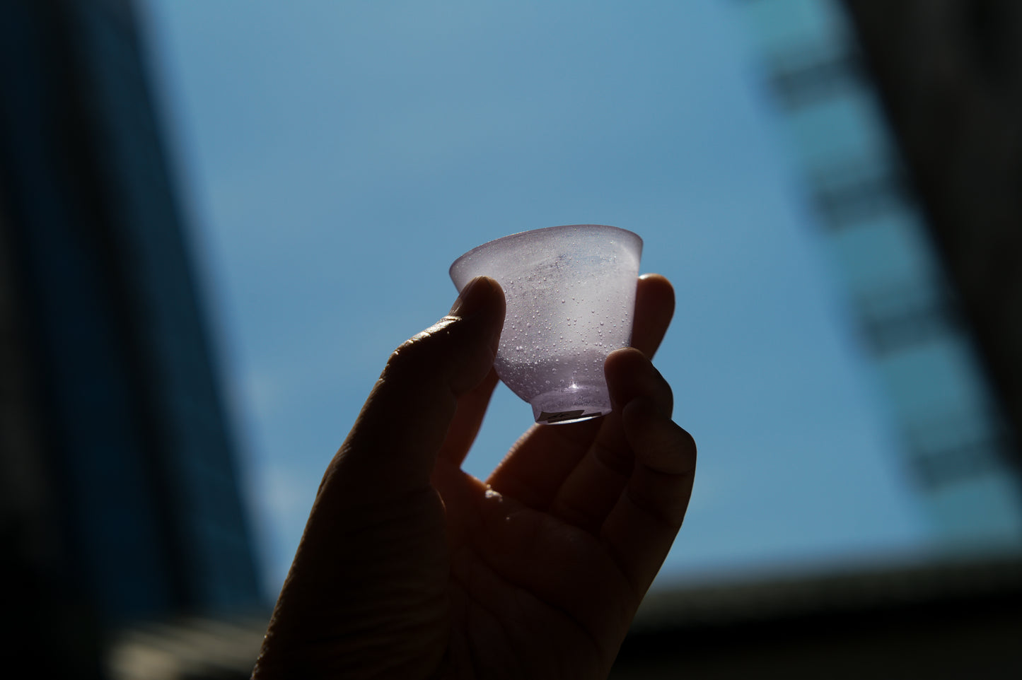 Zen Yukiyo ＿N.37 茶杯