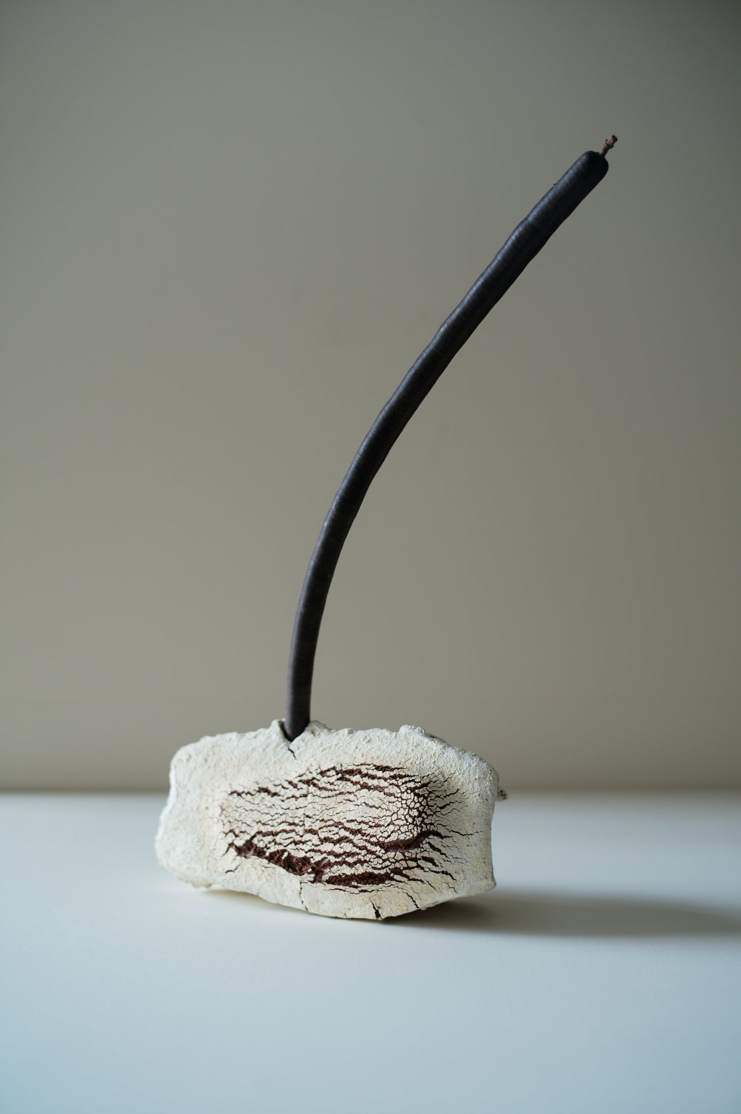Within, It Holds《 容器之內 》梁瀚云 2026 個展 預約參觀