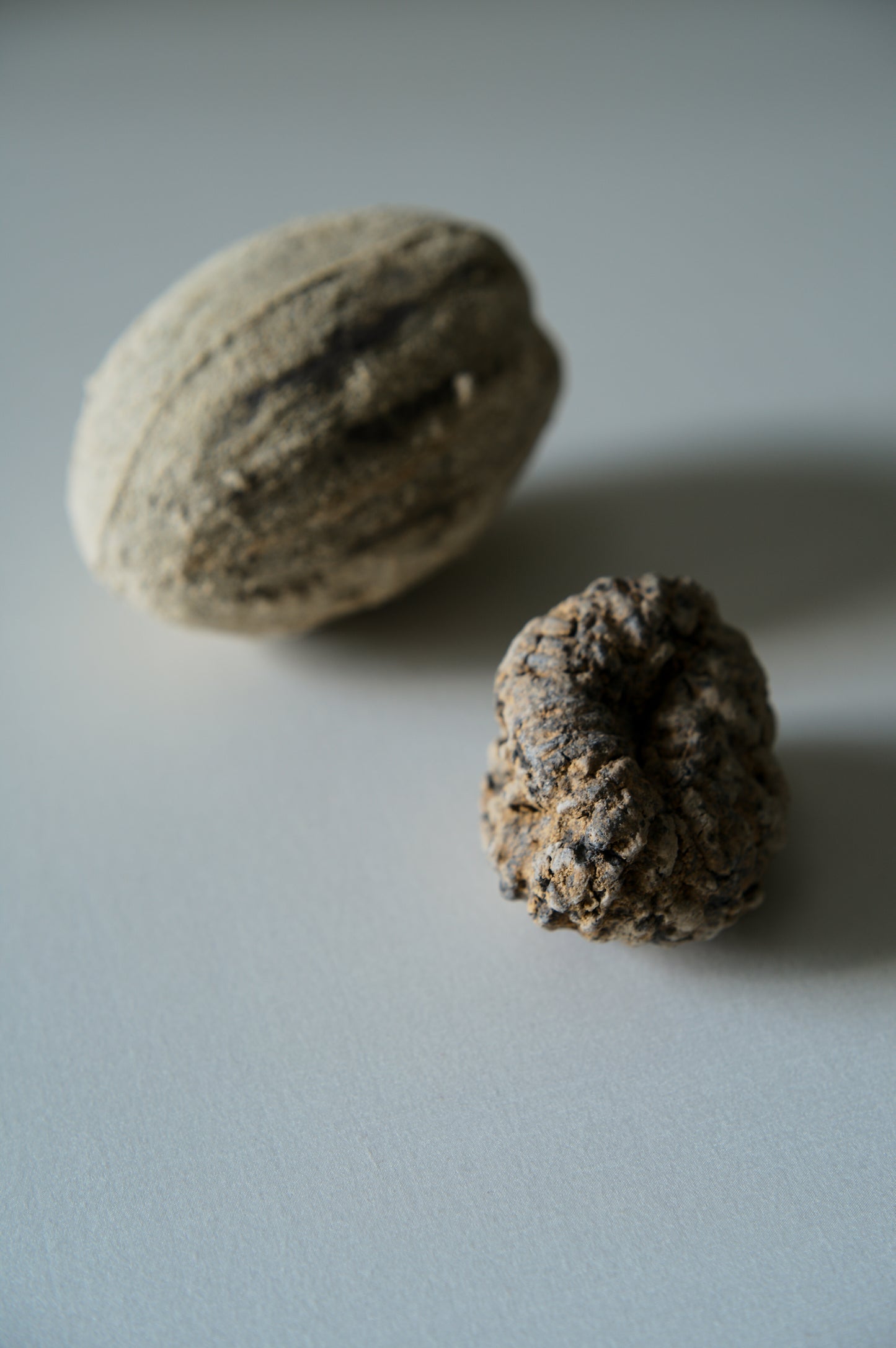 Within, It Holds《 容器之內 》梁瀚云 2026 個展 預約參觀