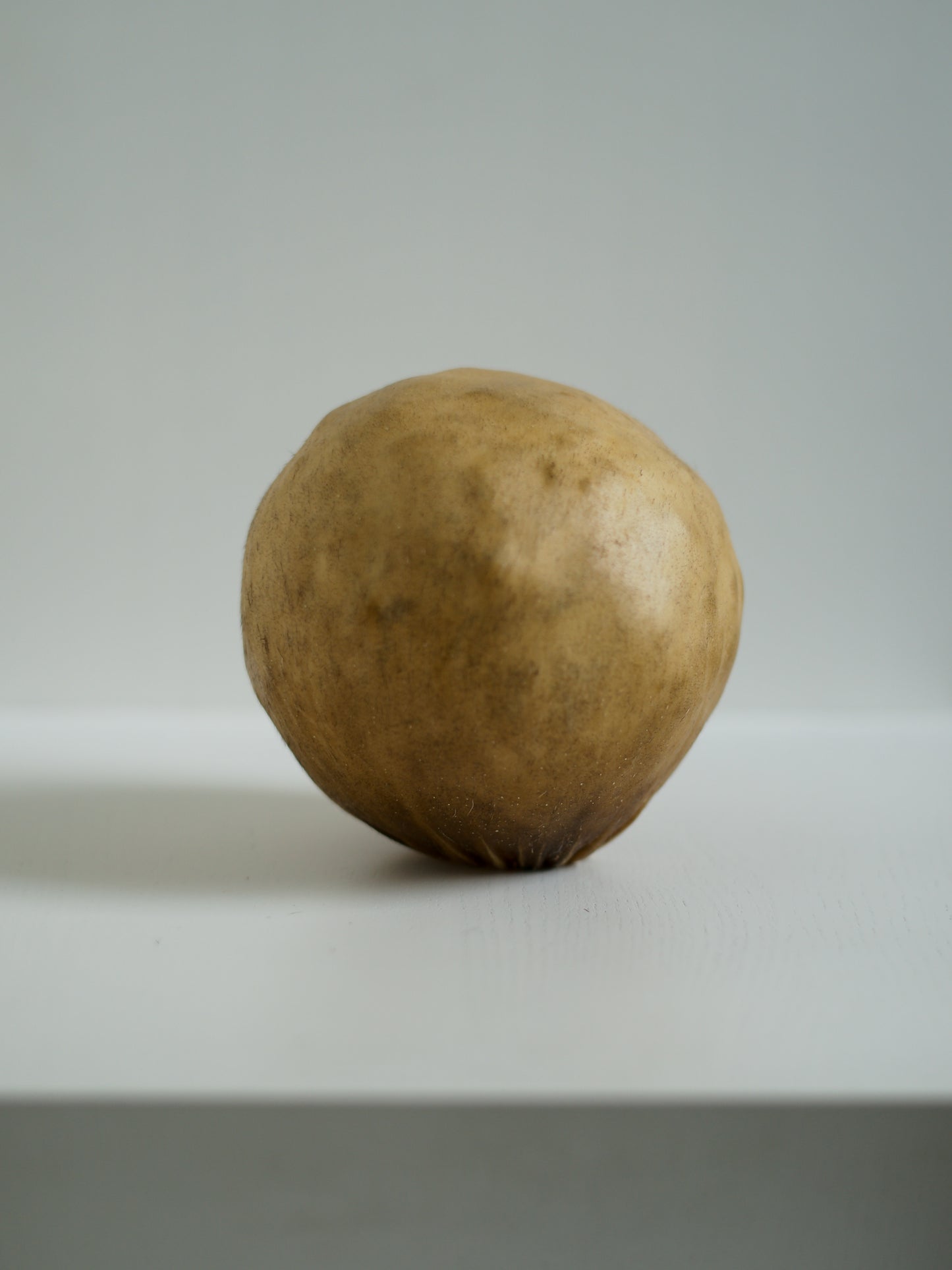 石黒幹朗  Ishiguro Mikio＿Untitled 10