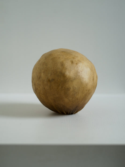 石黒幹朗  Ishiguro Mikio＿Untitled 10