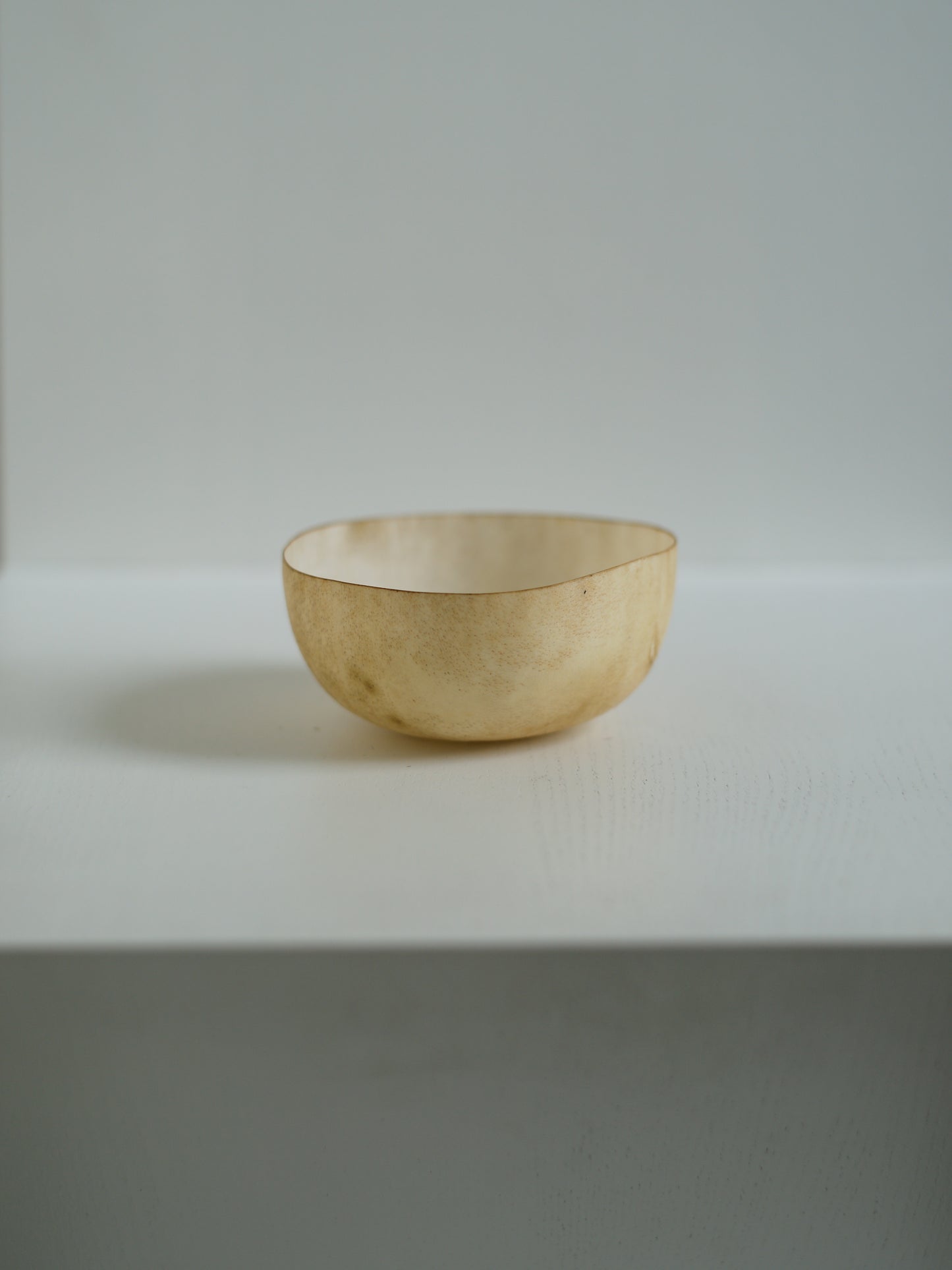 石黒幹朗  Ishiguro Mikio＿Untitled 23