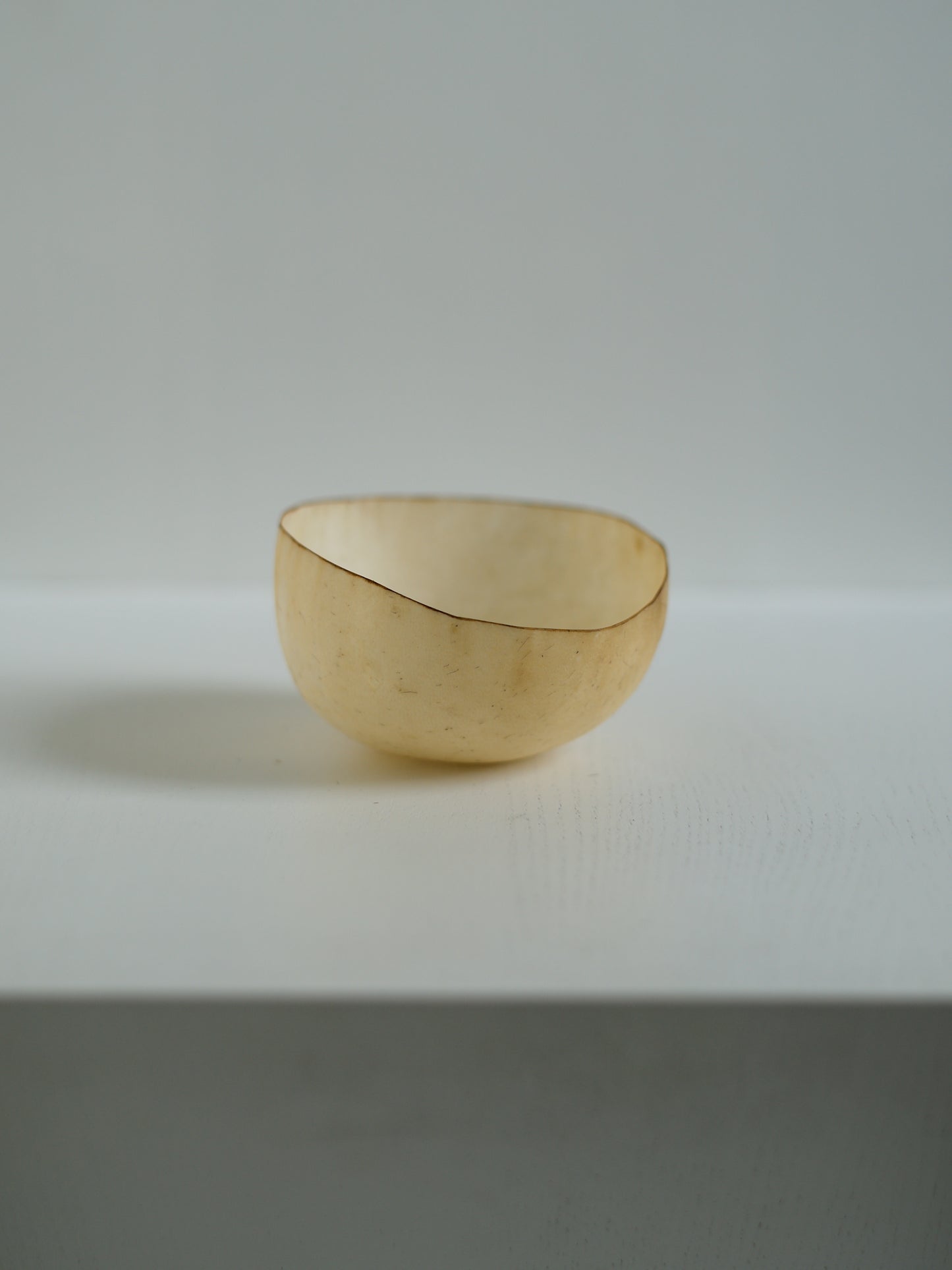 石黒幹朗  Ishiguro Mikio＿Untitled 23