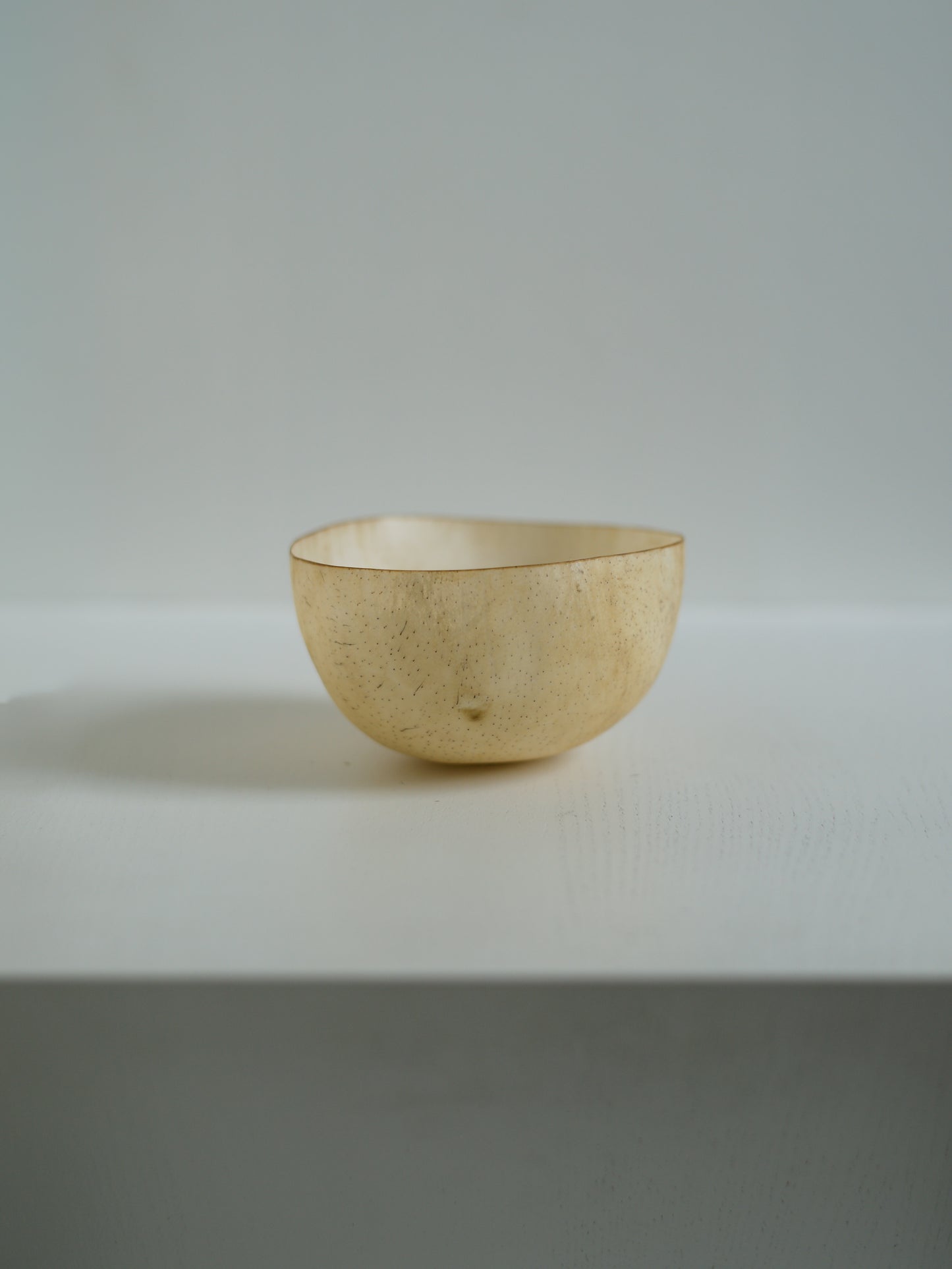 石黒幹朗  Ishiguro Mikio＿Untitled 23