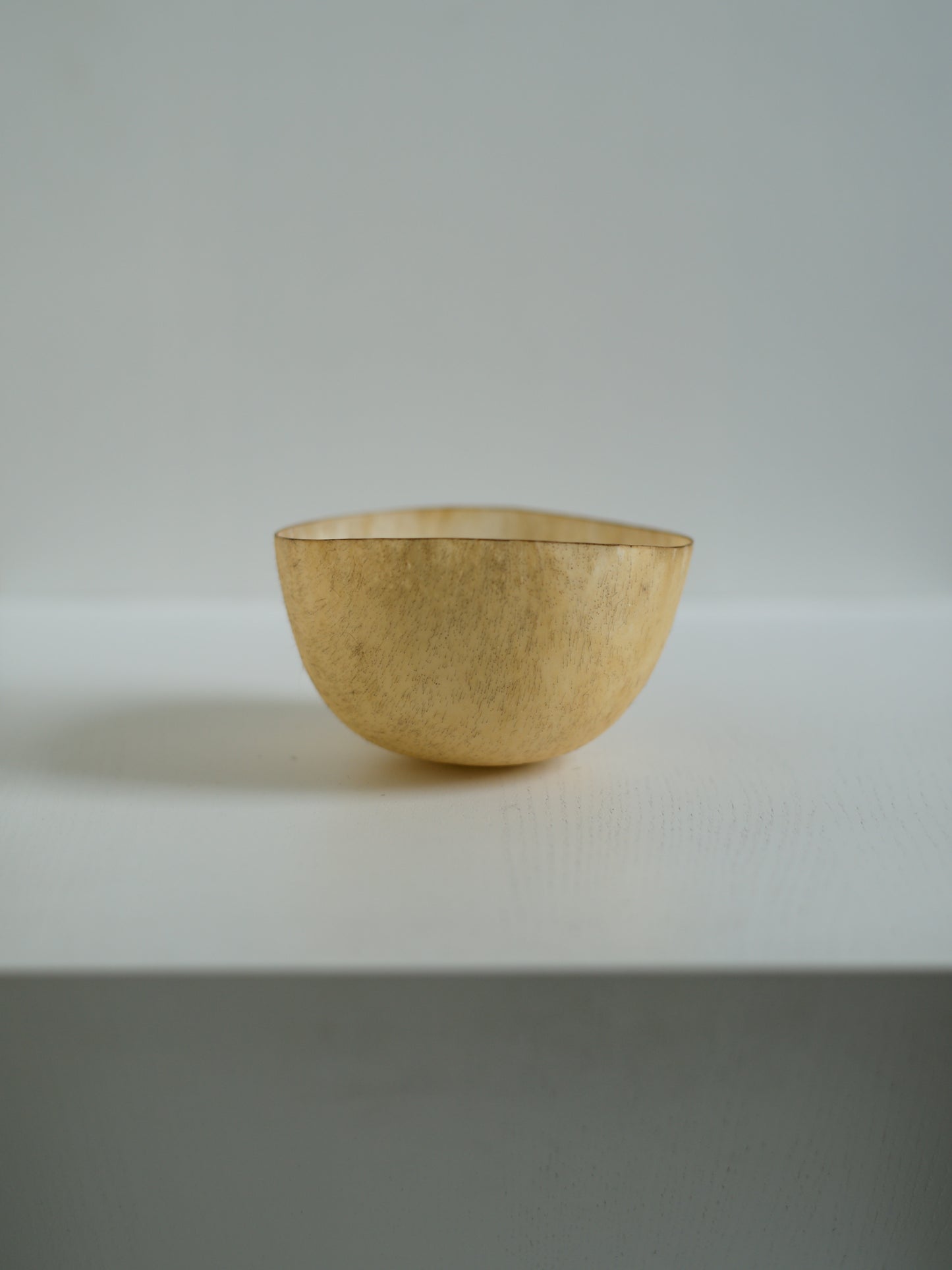 石黒幹朗  Ishiguro Mikio＿Untitled 23